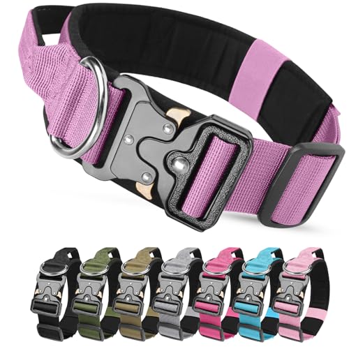 Collare Tattico Cane con Maniglia e Fibbia Metallo, Collare per Cani Regolabile Militare in Nylon, Imbottito Collari per Cani di Taglia Media e Grande Addestramento (Viola, L)