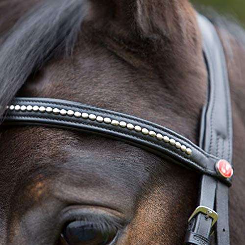 Kieffer - Dobladillo para caballo (muy suave, con perlas y nuca acolchada), color negro, Extra Warmblut