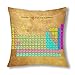 HZLM Housse de coussin humoristique vintage avec motif tableau périodique des éléments, housse de coussin avec fermeture éclair, 45 x 45 cm, décoration d'intérieur