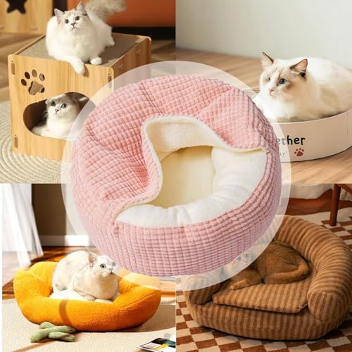 Lit pour petit chat d'intérieur et lit chaud pour chien ou lapin