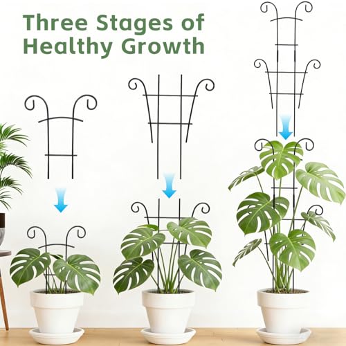 24 Inch Plant Trellis for Potted Plants Outdoor，Larger 2P Metal Garden Trellis for Climbing Plants Indoor Outdoor，Fan Shape Houseplant Monstera Trellis for Hoya Pothos Vine - Thumbnail 5