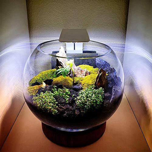 Image of 10W Super Slim Aquarium Fish Tank 5730 LED Light Clip-on Lamp Aquatic Plant Lighting (White Body White+Blue Light)