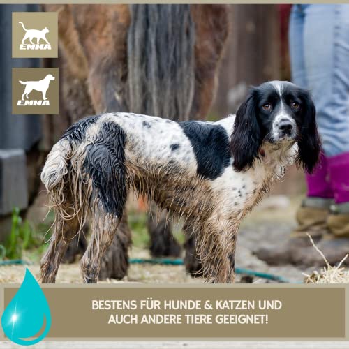 EMMA Fellpflege Spray Hund & Katze 2×250 ml Entfilzungsspray für Hunde Katzen Welpen – Anti Filz Spray für Langhaar Kurzhaar – Knotenlöser Detangler Fellspray zum Entfilzen Bürsten Pflege