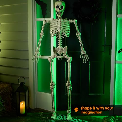 Image of JOYIN 5.6 FT Halloween Posable Life Size Skeleton Full Body Realistic Bones with Movable Joints for Halloween Indoor and Outdoor Decoration Props Spooky Scene Party Decorations (White)