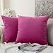 MIULEE 2er Pack Samt Kissenbezug Kissenhülle Dekorative Kissenbezug Dekokissen Sofakissen Lendenkissen Wurfkissenbezug Kissenhülle Rose Rot 45x45 cm