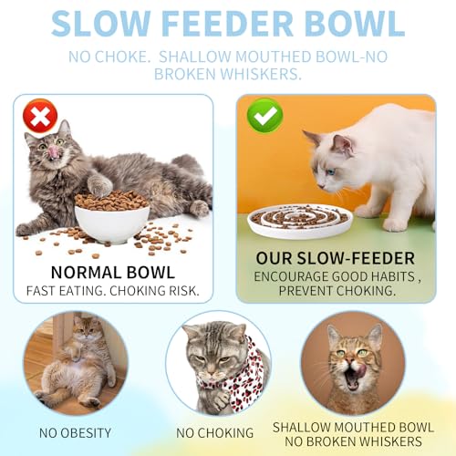 Antischlingnapf Katze Keramik Futternäpfe für langsame Fütterung,Fressnäpfe für Haustier Slow Feeder Katze Nassfutter Katzennapf Keramik,Nasse Futterschale für Katzen und kleinen Hund