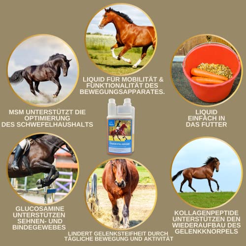 EMMA MSM Pferd Gelenk Liquid für Pferde mit Glucosamin Chondroitin MSM Schwefel Kollagen Pferd Hochdosiert - Zusatzfutter Stärkung der Gelenke Sehnen Knorpel Bänder einfacher dosierbar als Pulver 1L