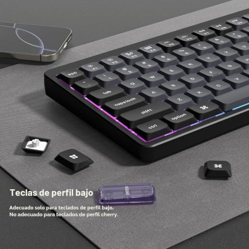 Teclas transparentes PBT de perfil bajo y doble disparo gris oscuro violeta 3