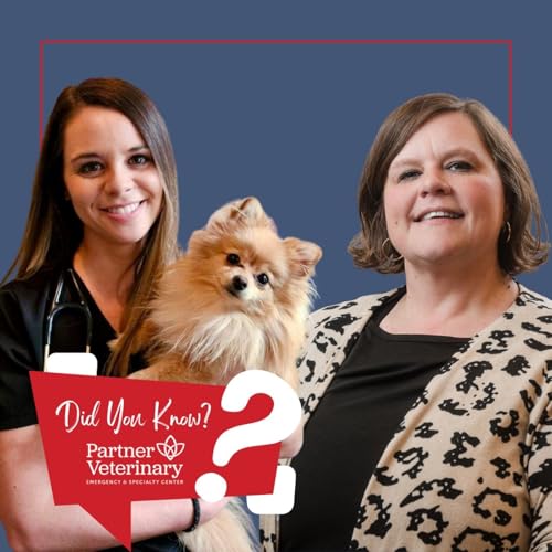How Partner is Helping the Most Vulnerable Pets