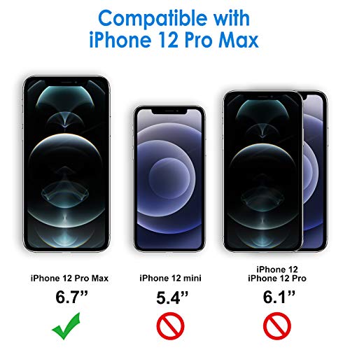 JETech Privacy Pellicola Protettiva per iPhone 12