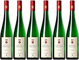nick proschwitz paderborn 6x 2020 Cuvée Clemens trocken - Weingut Schloss Proschwitz