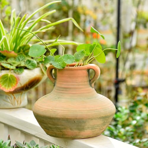Sungmor Rustic Ceramic Flower Vase with Handles, Decorative Pottery Vase 7 Inch Terracotta Plant Pots, Cement Textured Vases Home Decor, Indoor Fresh Flowers Planter, Dried Flower Arrangements by Sungmor - Image 4