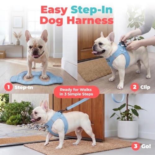 Image of Voyager Step-in Air Dog Vest Harness - Baby Blue, Small | 14.5-16 inch in Chest, Reflective Bands, All Weather Breathable Air Mesh, Cats Compatible, Lightweight, Fast Drying