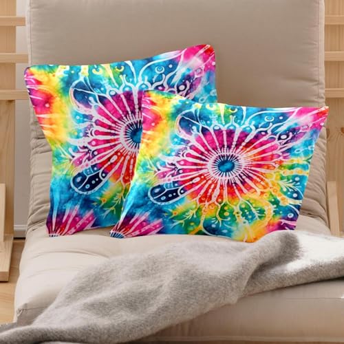 Housse de coussin velours lavable pour rénover canapé usé 50x50