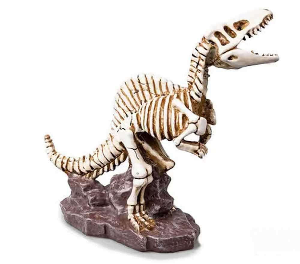 Biotope Aquatics Ltd Brown - Aquarium Ornaments, Fish Tank Polyresin Swim Through Decorations, Multiple Designs - Dinosaur, Skull, Boat, Ship, Tree Root, Wood, Cave (Dinosaur #723 (28Cm))