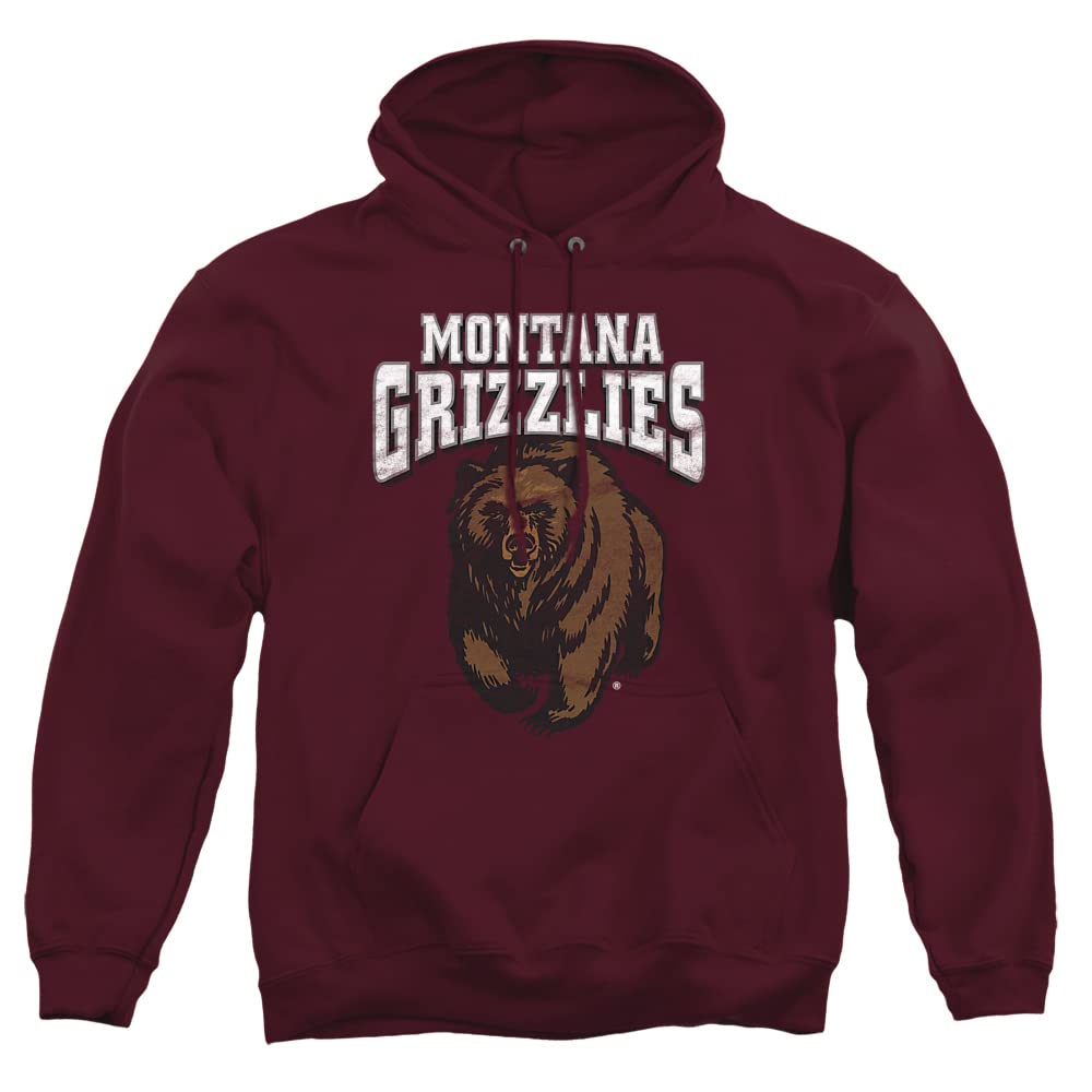 LOGOVISION Official Collegiate Distressed Primary Logo Adult Pullover Hoodie Collection — view 294