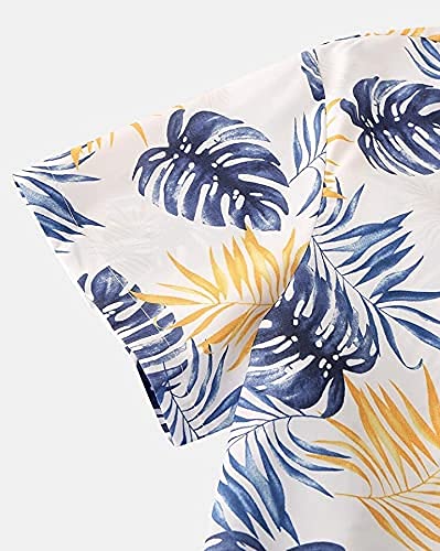 Image of Polly Cotton Solid Half Sleeve Shirt for Men