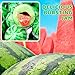 Apexy Watermelon Gummy Candy with Fruity Liquid Center Fat Free Perfect for Halloween, Birthday, Trick Or Treat, Party Candy 11.42oz