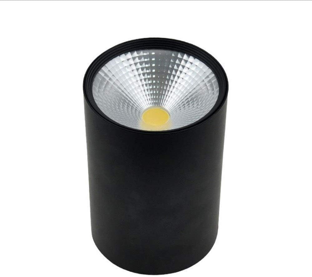 Spot LED encastré, éclairage de vitrine, comptoir à vin, éclairage cylindrique en saillie, 15 W, Finition Noire, plafonnier, lumière Blanche Chaude 6 000 K, Spot pour hôtel (lumière Neutre 12 W)