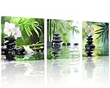 TutuBeer 3 Panels Zen Canvas Wall Art Spa Wall Art Spa Stones White Orchid Flower and Green Bamboo Pictures Prints on Canvas for Home Office Wall Decor Stretched and Framed Each Panel 12x12inch