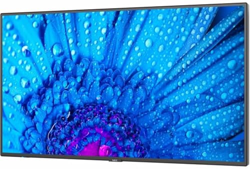 Sharp NEC Display 98