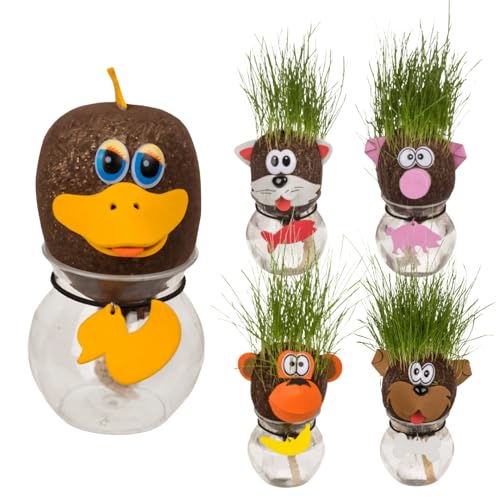 Seaside No.64 – Lustige Graskopf Tiere mit Wasserbehälter – DIY Pflanzen-Experiment für Kinder – Rasensamen wachsen als Haare – Kreativer Bastelspaß & niedliche Dekoidee für Zuhause (5er-Set)