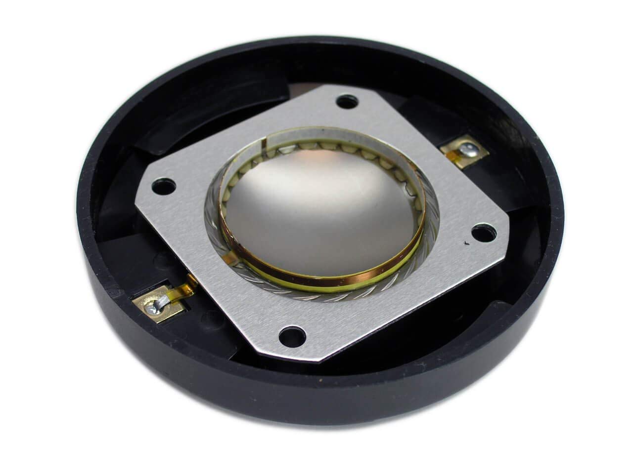Amazon.com: TSE Audio Diaphragm for EV DH1K, DH1M, Used in Many