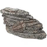 LALAFINA 樹脂製三葉虫化装飾品 軽量コンパクトな古生物学標 教育 収集 インテリア向け耐久性トリロバイトモデル