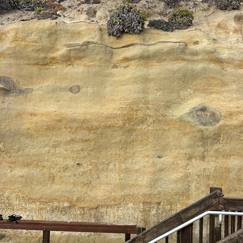 Affirmations for Letting Go