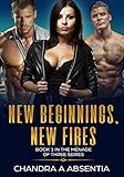 New Beginnings, New Fires: Book One in the Menage of Three Series