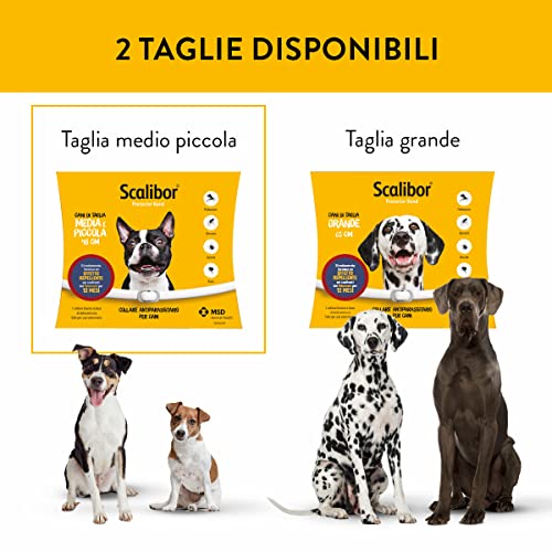 Collier Scalibor 48 cm antiparasitaire pour chien