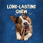 Purina Busy With Beggin' Made in USA Facilities Small/Medium Breed Dog Treats, Twist'd - 10 ct. Pouch - Image 3