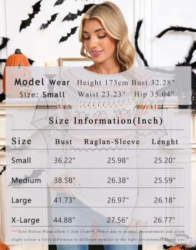 Image of Womens Fair Isle Sweaters Long Sleeve Crewneck Fall Winter Pullover Sweater