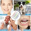 6 Pieces 2-in-1 Toothbrush with Interdental and Wisdom Teeth Brush Heads for Comprehensive Oral Care, Soft Single Interdental Brushes Between Teeth Wisdom Toothbrush for Braces