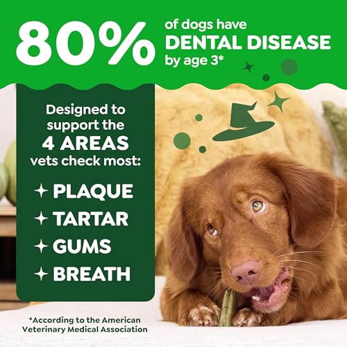 Image of Greenies Regular Natural Dental Dog Treats, Pumpkin Spice Flavor, 12 Count | Veterinarian-recommended, dogs 25-50 lbs, cleaner teeth after 28 days, limited edition, 12 oz. pack