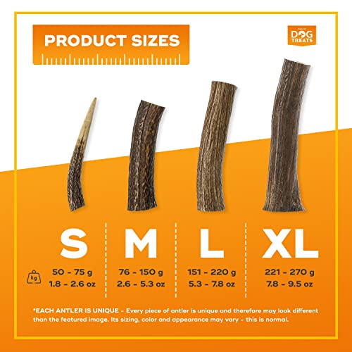 Natural Dog Treats - Antlers for Dogs, Naturally Shed Deer Antler, 100% Natural antlers for dogs, Natural Dog Chews, Antler for medium dogs M (76-100 gr) - Image 5