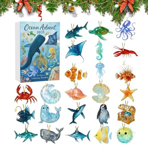 Wscwl NX}X JEg_E J_[ | 2D AN zf[p[eB[Mtg - 24ԊC̓J_[Ahxgq | c[ƑeB[Y̎qqc