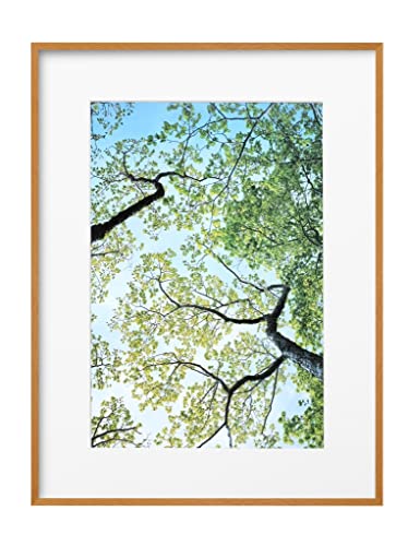 nNo HAKUBA y z ZEROt[ G-01 A3mr i` FZG01-A3NNT