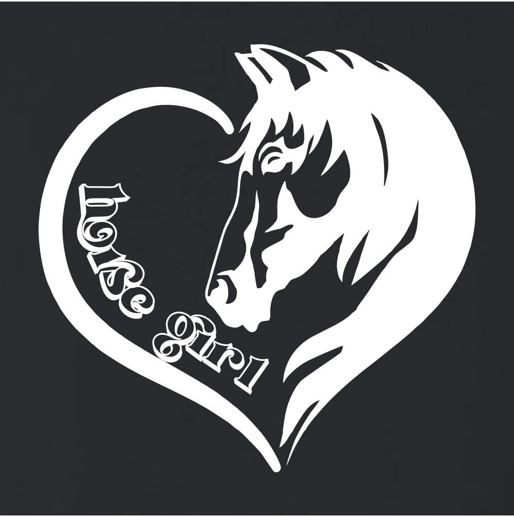 Go All Out Horse Girl Loves Horses Gift Idea Mens Women Youth Sweatshirt Hoodie