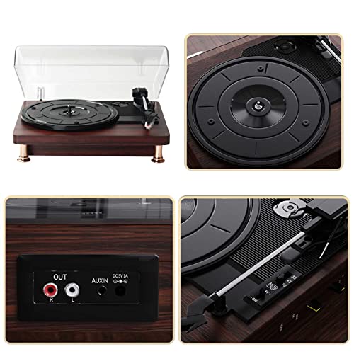 HYMONA Tourne Disque Vinyle,Platine Vinyle Bluetooth’s Portable à 3 Vitesses (33 1/3, 45 78 TR/Min),Vintage Tourne… - Les Beatles, Paul McCartney, John Lennon, RIngo Starr, George Harrison HYMONA Tourne Disque Vinyle,Platine Vinyle Bluetooth's Portable à 3 Vitesses (33 1/3, 45 78 TR/Min),Vintage Tourne… – Image 7