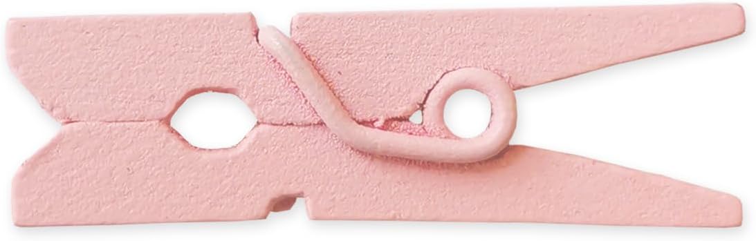 LWR CRAFTS Wooden Mini Clothespins 100 Per Pack 1" 2.5cm Light Pink