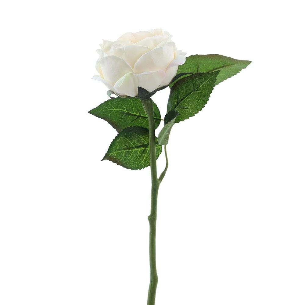 homes r us هومز أر أسose omance Single Stem, Cream & Peach – 31 Cms Height: 31Cm Length: 9Cm Width: 9Cm Multicolor