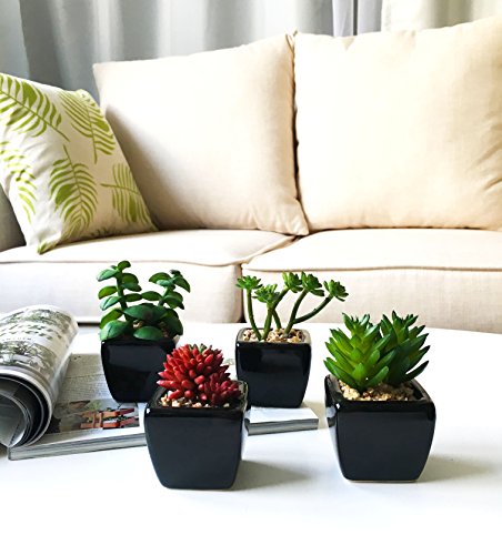 Nattol Artificial Mini Succulent Plants Potted In Cube-Shaped Black Ceramic Pots For Home Décor, Set Of 4 #TOP3