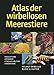 Produktbild Atlas der Meerestiere - Wirbellose: Weichtiere, Würmer, Stachelhäuter, Krebstiere