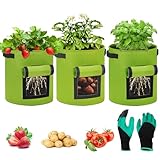 Pack de 3 bolsas de plantación de patatas, 10 galones con asas, bolsa de patatas para plantar, bolsa de plantación con guantes de jardín, maceta de tela para patatas, tomates, plantas (verde)