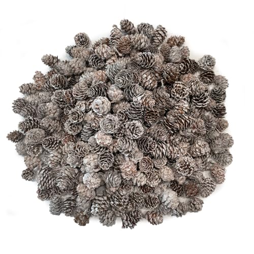 Kesxaus Tannenzapfen Weihnachten Tannenzapfen Kunstschnee Tannenzapfen...