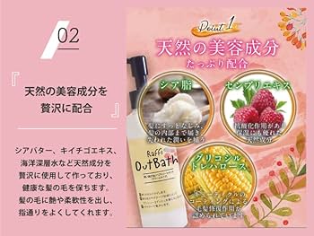 Amazon.co.jp: Raffi(ラフィー) 美容室専売品 洗い流さない