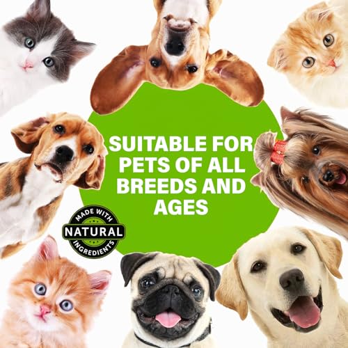 Pet Digestive Relief for Dog,Anti Diarrhea for Pet, Digestive Relief for Dogs Cats to Help Calm Nausea & Diarrhea from Mild Illness Food Stress or Motion Sickness - 2 FL.OZ