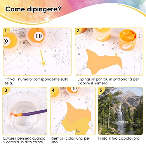 Toudorp Dipingi con i Numeri Kit di Pittura