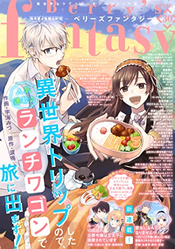 Berry’s Fantasy vol.30 [雑誌]